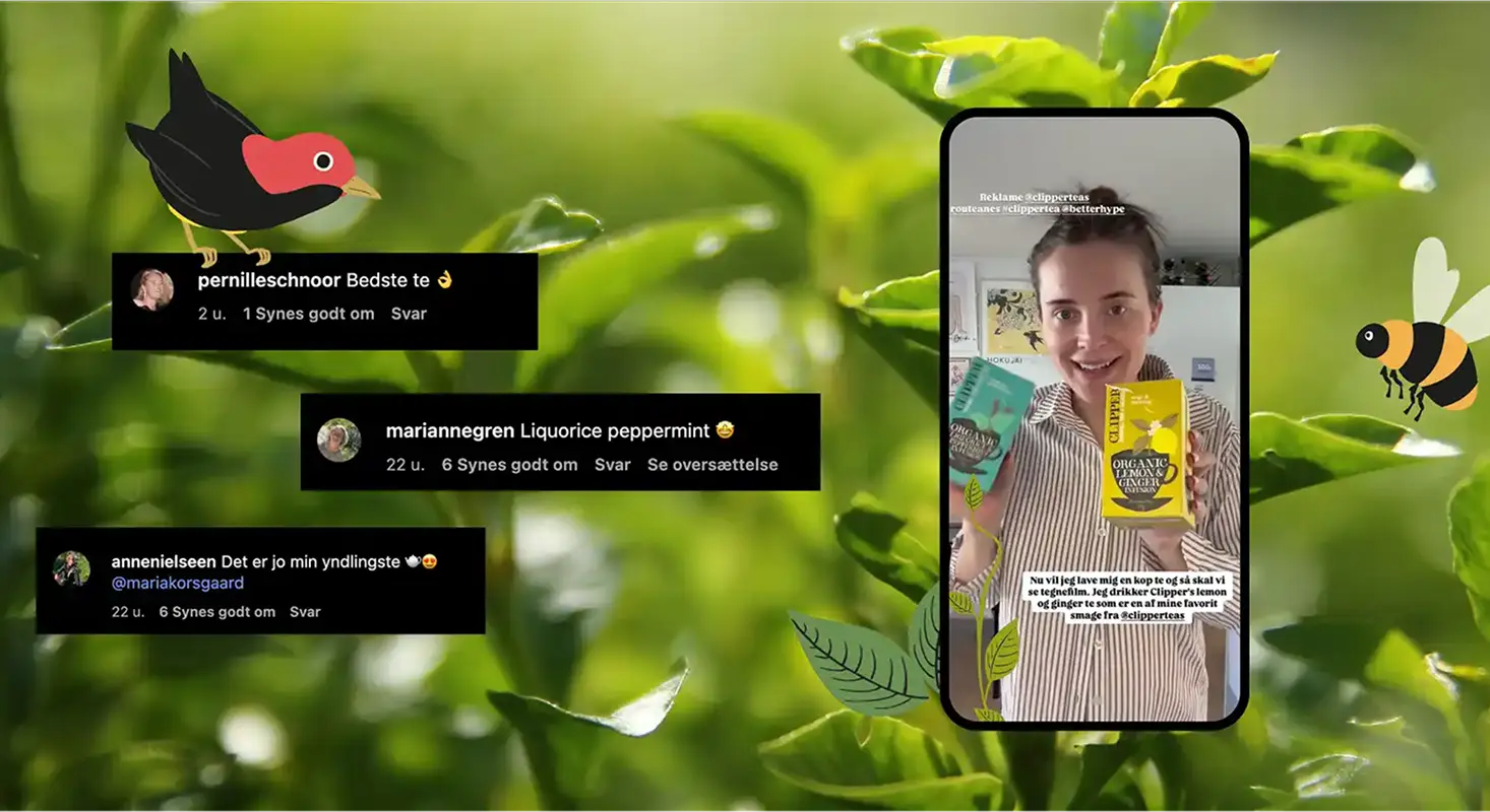 sustainability thumbnail